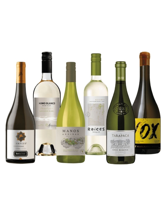 Los Mejores Pack Mix de Vinos Premium en Oferta con Despacho Gratis!