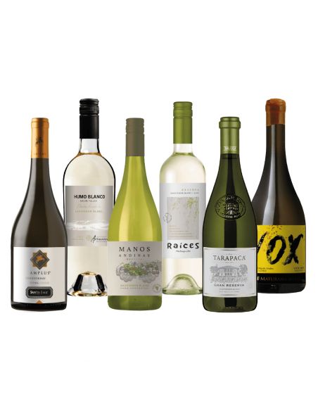 Los Mejores Pack Mix de Vinos Premium en Oferta con Despacho Gratis!
