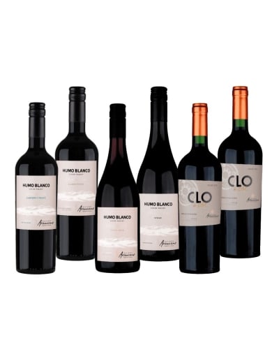 Pack Mix Viña Francois Lurtón a precios de Liquidación!