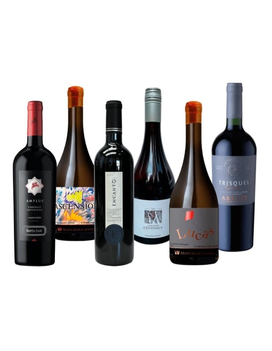 Pack de Vinos Variedades en Oferta con Despacho Gratis en RM