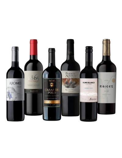 Pack 6 Descubre Tintos