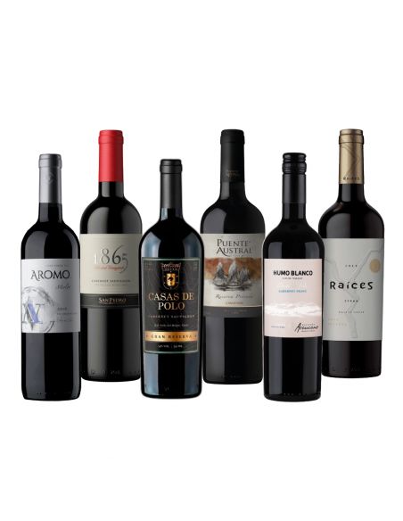 Pack 6 Descubre Tintos