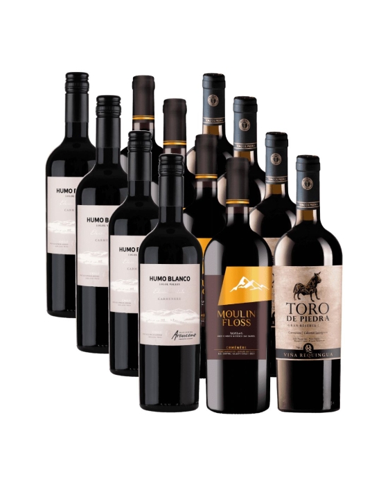 Pack 12 Mix Carmenere, Toro de Piedra, Humo Blanco y Moulin Floss