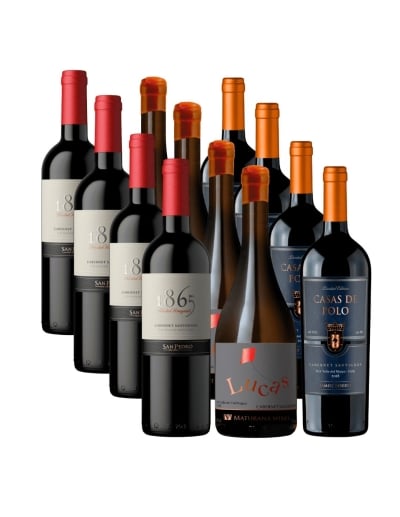 Pack 12 mix Premium Cabernet Sauvignon, Casas de Polo, 1865 y Lucas