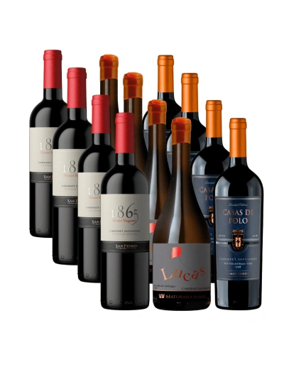 Pack 12 mix Premium Cabernet Sauvignon, Casas de Polo, 1865 y Lucas