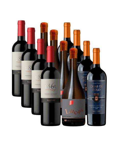Pack 12 mix Premium Cabernet Sauvignon, Casas de Polo, 1865 y Lucas