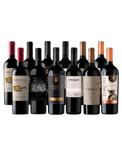 Pack 12 Descubre Carmenere