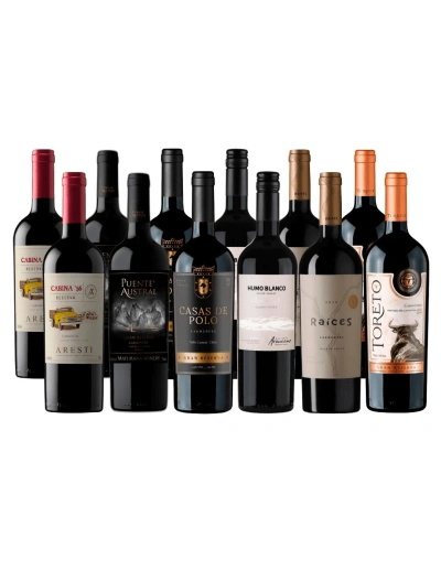 Pack 12 Descubre Carmenere