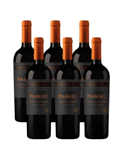 Pack 6 Cabernet Sauvignon, Reserva Especial, Panul, Viñedos Marchigue