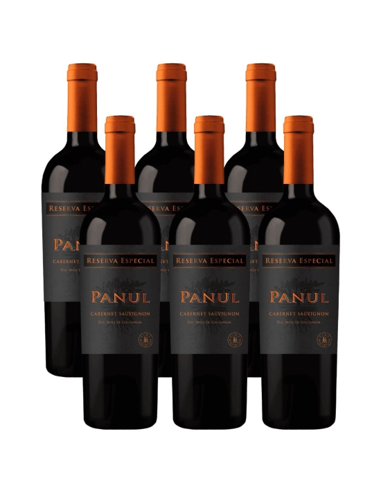 Pack 6 Cabernet Sauvignon, Reserva Especial, Panul, Viñedos Marchigue