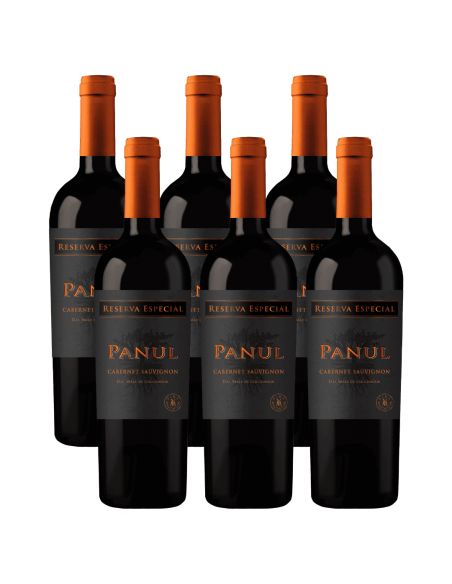 Pack 6 Cabernet Sauvignon, Reserva Especial, Panul, Viñedos Marchigue