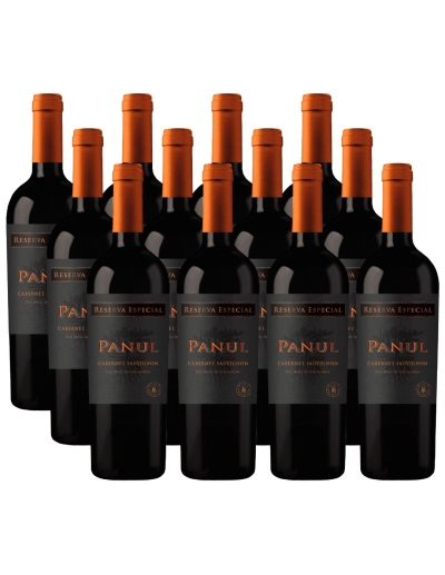 Pack 12 Cabernet Sauvignon, Reserva Especial, Panul, Viñedos Marchigue