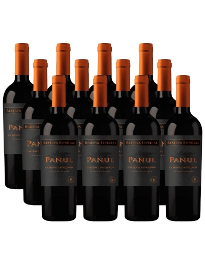Pack 12 Cabernet Sauvignon, Reserva Especial, Panul, Viñedos Marchigue