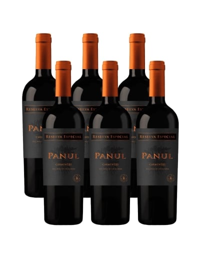 Pack 6 Carmenere, Reserva Especial, Panul, Viñedos Marchigue