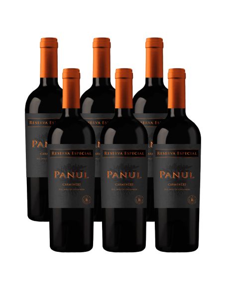 Pack 6 Carmenere, Reserva Especial, Panul, Viñedos Marchigue