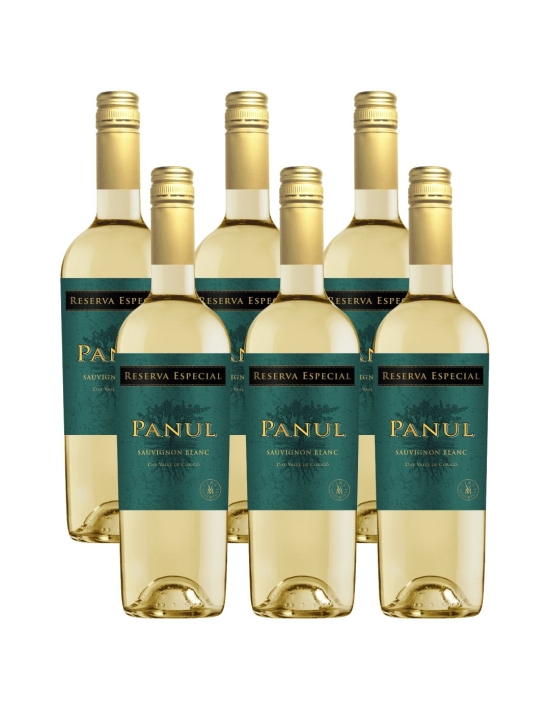 Pack 6 Sauvignon Blanc, Reserva Especial, Panul, Viñedos Marchigue