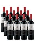 Pack 12 Carmenere 1865, Viña San Pedro