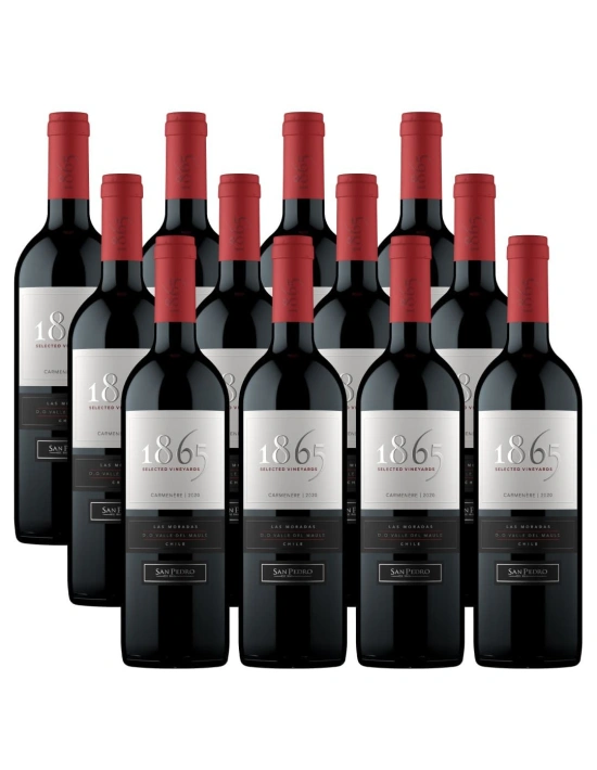 Pack 12 Carmenere 1865, Viña San Pedro