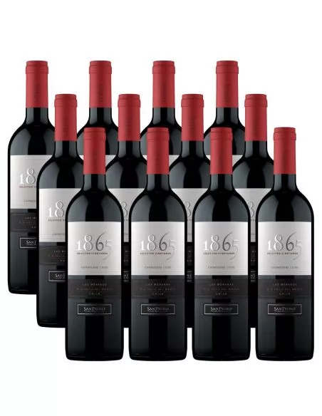 Pack 12 Carmenere 1865, Viña San Pedro