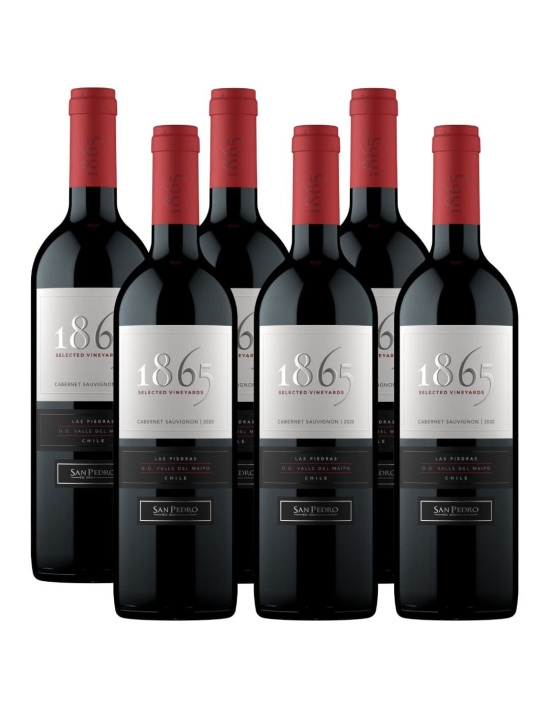 Pack 6 Cabernet Sauvignon 1865, Viña San Pedro