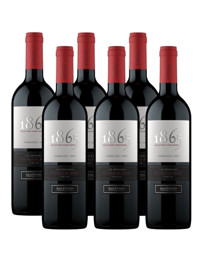 Pack 6 Vinos Carmenere 1865, Viña San Pedro
