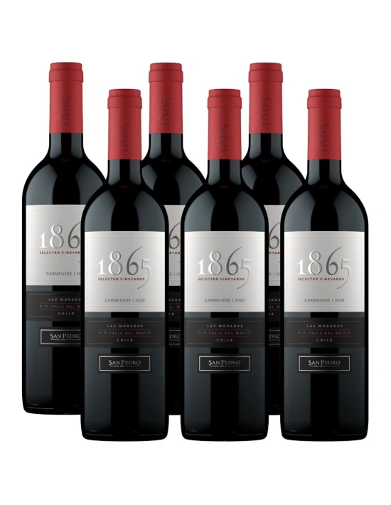 Pack 6 Vinos Carmenere 1865, Viña San Pedro