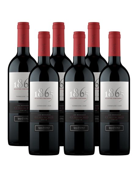Pack 6 Vinos Carmenere 1865, Viña San Pedro