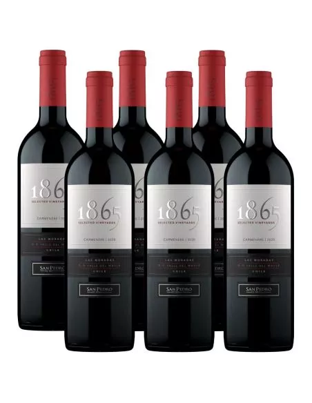 Pack 6 Vinos Carmenere 1865, Viña San Pedro