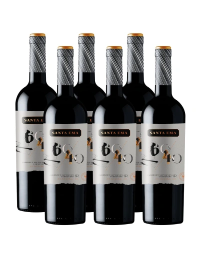 Pack 6 Ensamblaje 60/40 Blend Cabernet Carmenere Barrel Reserve, Santa Ema