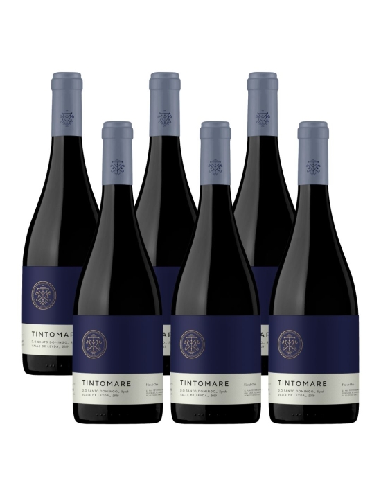 Exquisito Syrah Super Premium Leyda, Tintomare en Oferta