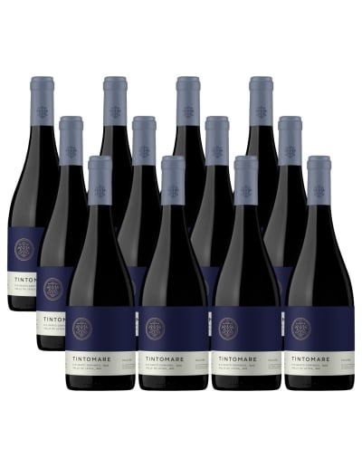 Pack 12 Syrah Super Premium Leyda, Tintomare