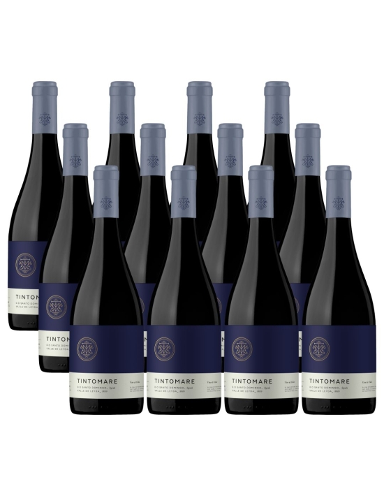 Pack 12 Syrah Super Premium Leyda, Tintomare
