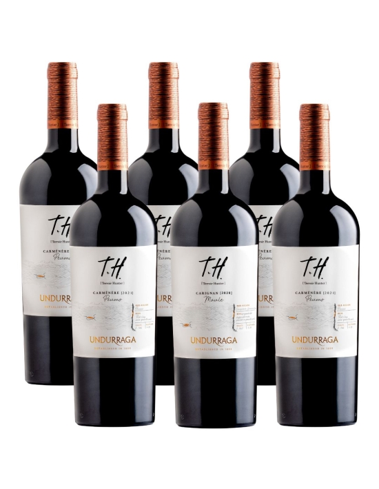 Pack 6 Carmenere Premium TH (Terroir Hunter), Viña Undurraga