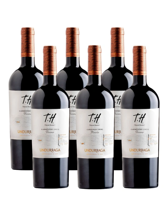 Pack 6 Carmenere Premium TH (Terroir Hunter), Viña Undurraga
