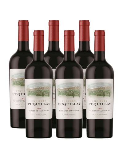 Pack 6 Cabernet Sauvignon Premium Puquillay, Viña Encierra