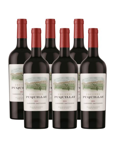 Pack 6 Cabernet Sauvignon Premium Puquillay, Viña Encierra