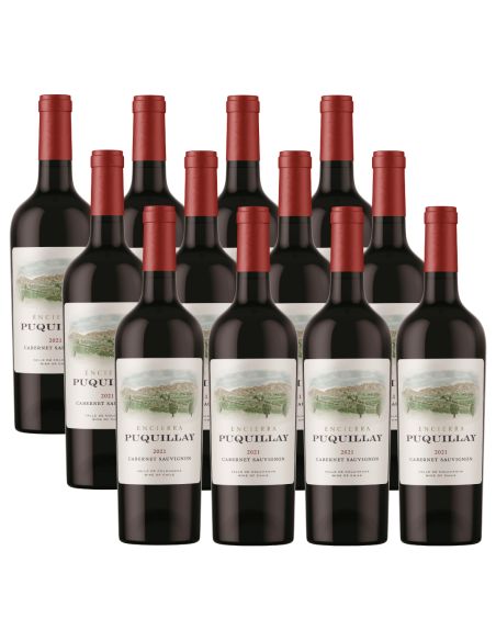 Pack 12 Cabernet Sauvignon Premium Puquillay, Viña Encierra