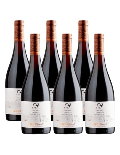 Pack 6 Syrah Premium TH (Terroir Hunter), Viña Undurraga