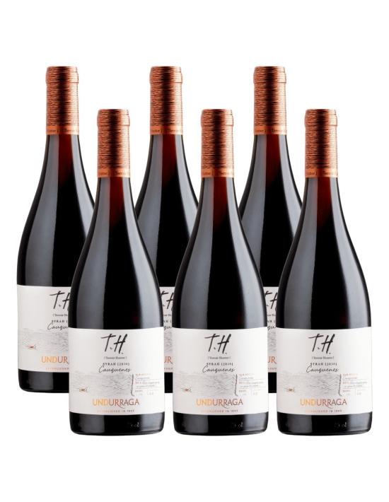 Pack 6 Syrah Premium TH (Terroir Hunter), Viña Undurraga