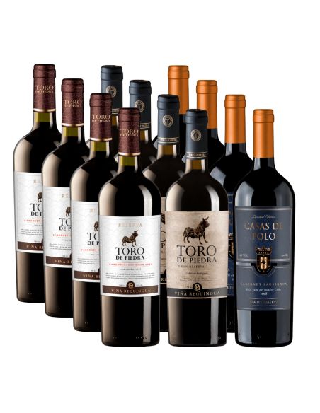 Pack Mix Cabernet Toro de Piedra y Casas de Polo