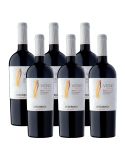 Pack 6 Carignan Premium, Vigno, Viña Undurraga