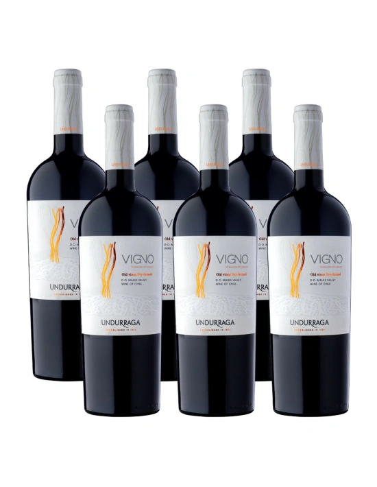 Pack 6 Carignan Premium, Vigno, Viña Undurraga