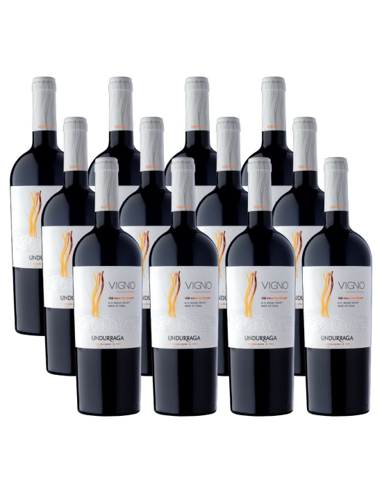 Pack 12 Carignan Premium, Vigno, Viña Undurraga