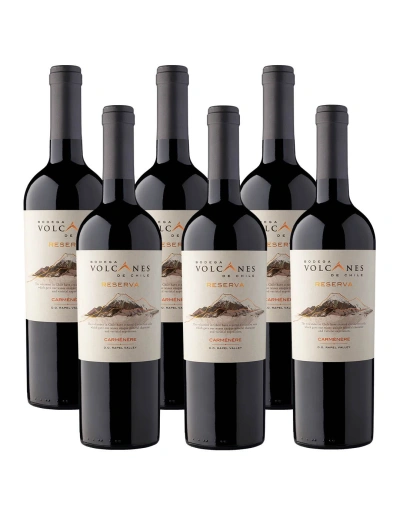 Pack 6 Carmenere Reserva Bodega Volcanes en Oferta