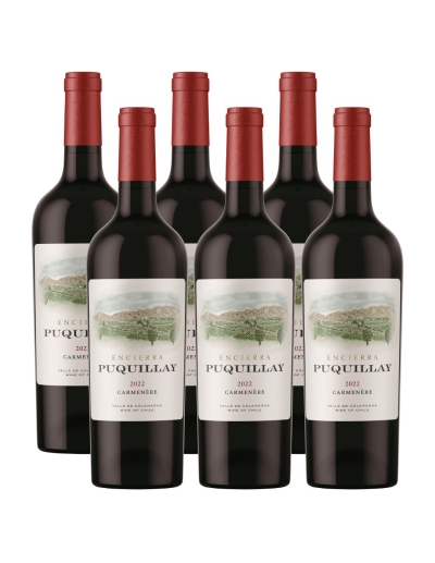 Pack 6 Carmenere Premium Puquillay, Viña Encierra