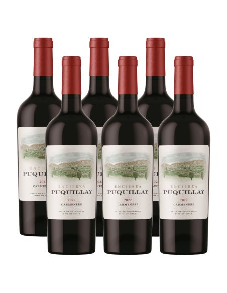 Pack 6 Carmenere Premium Puquillay, Viña Encierra