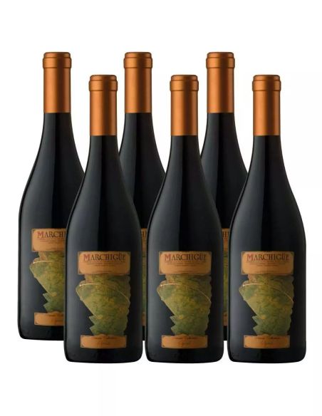 Pack 6 Syrah, Icono, Marchigue Private Collection