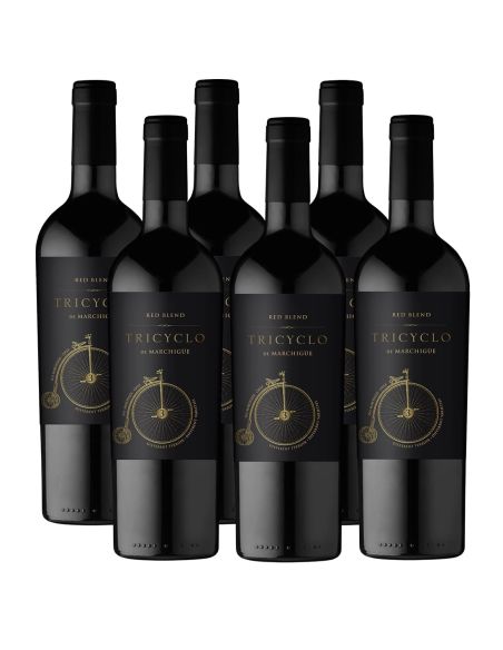 Pack 6 Red Blend, Premium, Tricyclo, Limited Edition, Marchigue