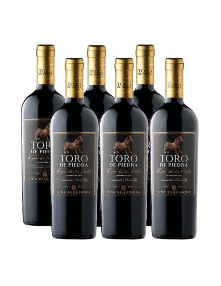Pack 6 Carmenere, Rincón de los vientos, Toro de Piedra, Requingua