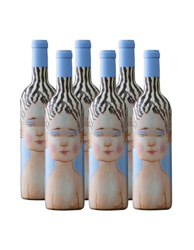 Pack 6 Ensamblaje, Super Premium, La Piu Belle Tinto, Viña VIK